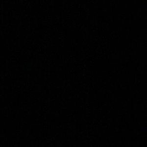 Meet your Posher, Lola